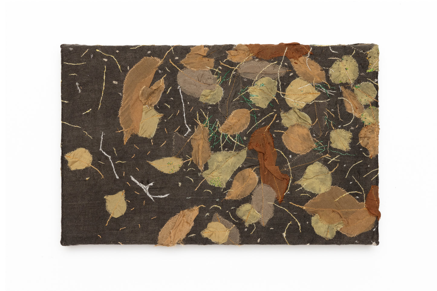 Paysage de sol 02 par Carole Baillargeon