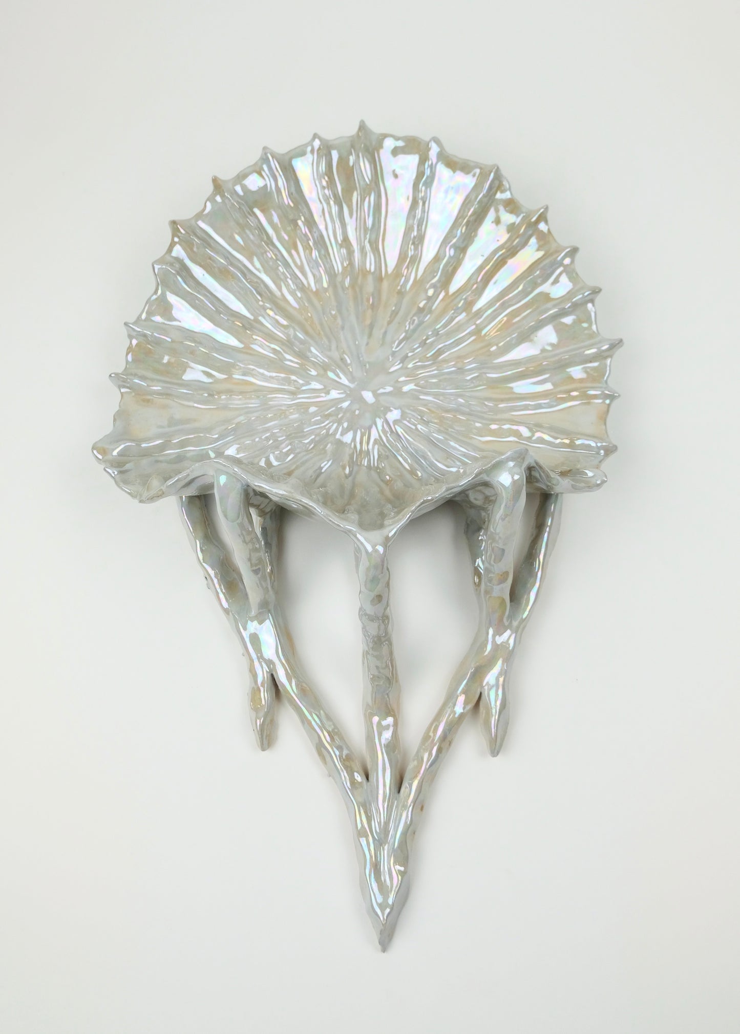 Shell holding by Celia Beauchesne