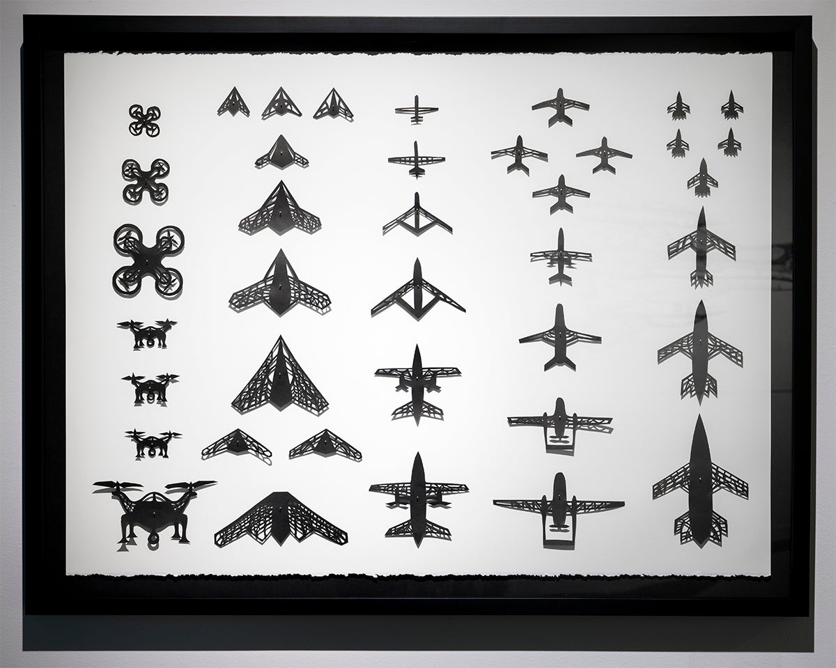 Collection entomologique insectes/drones par Stephanie Morissette