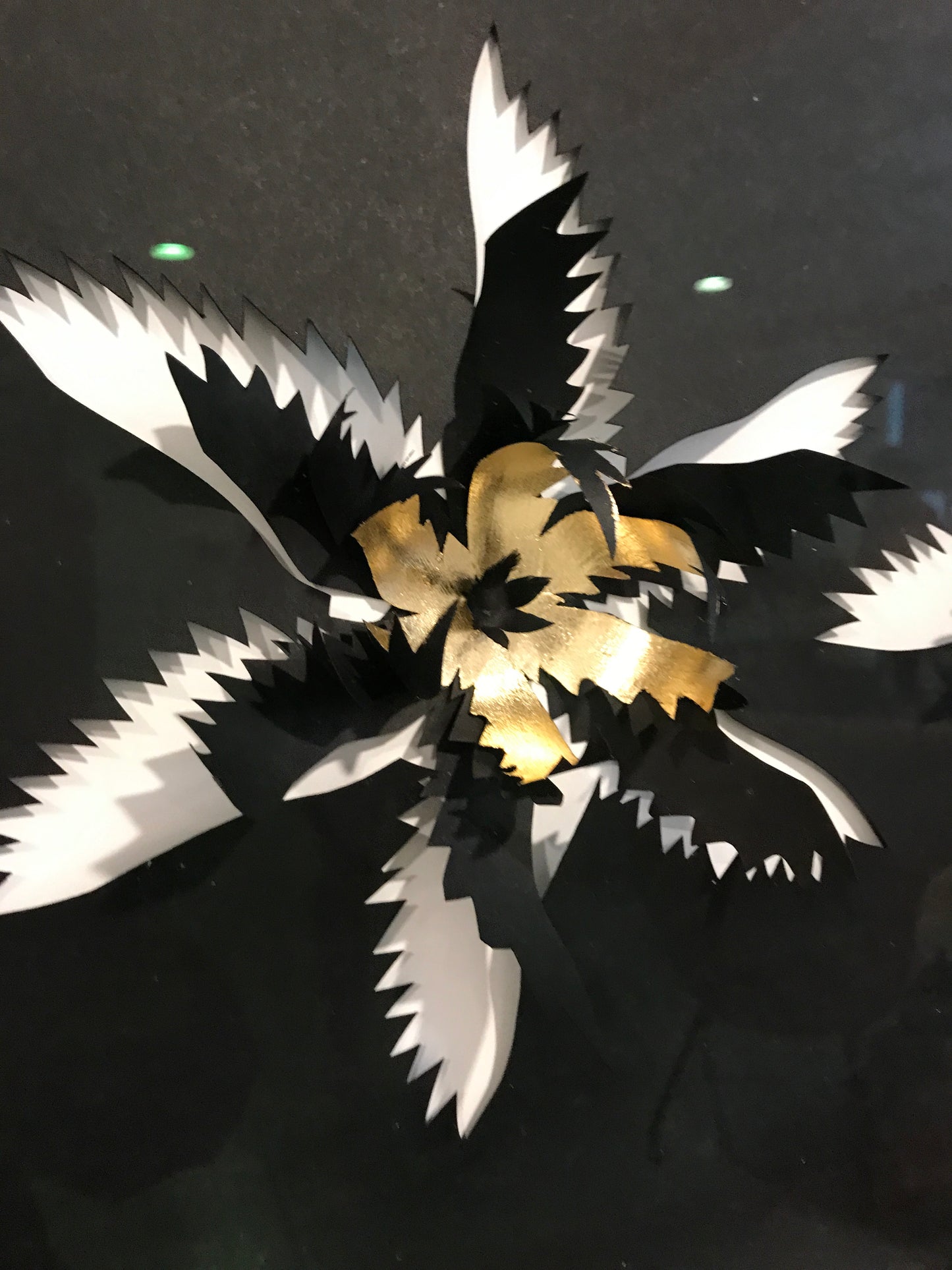 Fleurs par Stéphanie Morissette