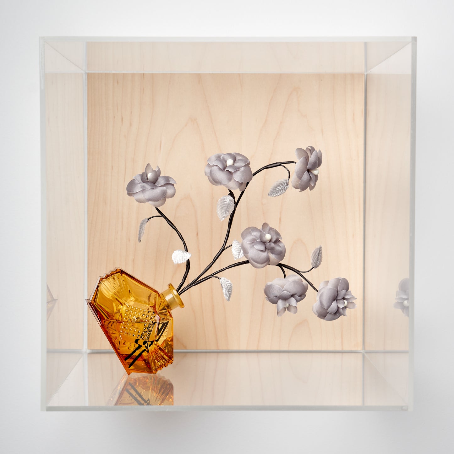 Eternal, en boîte, in display box (option 1).