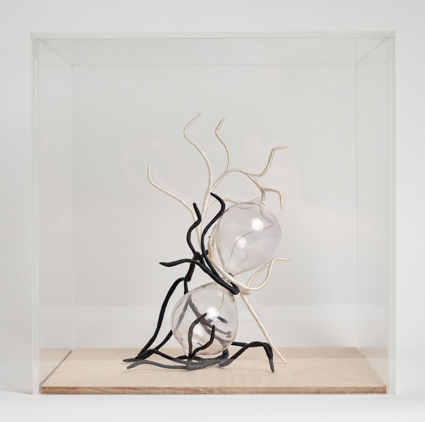 Time par Cinthya Chalifoux