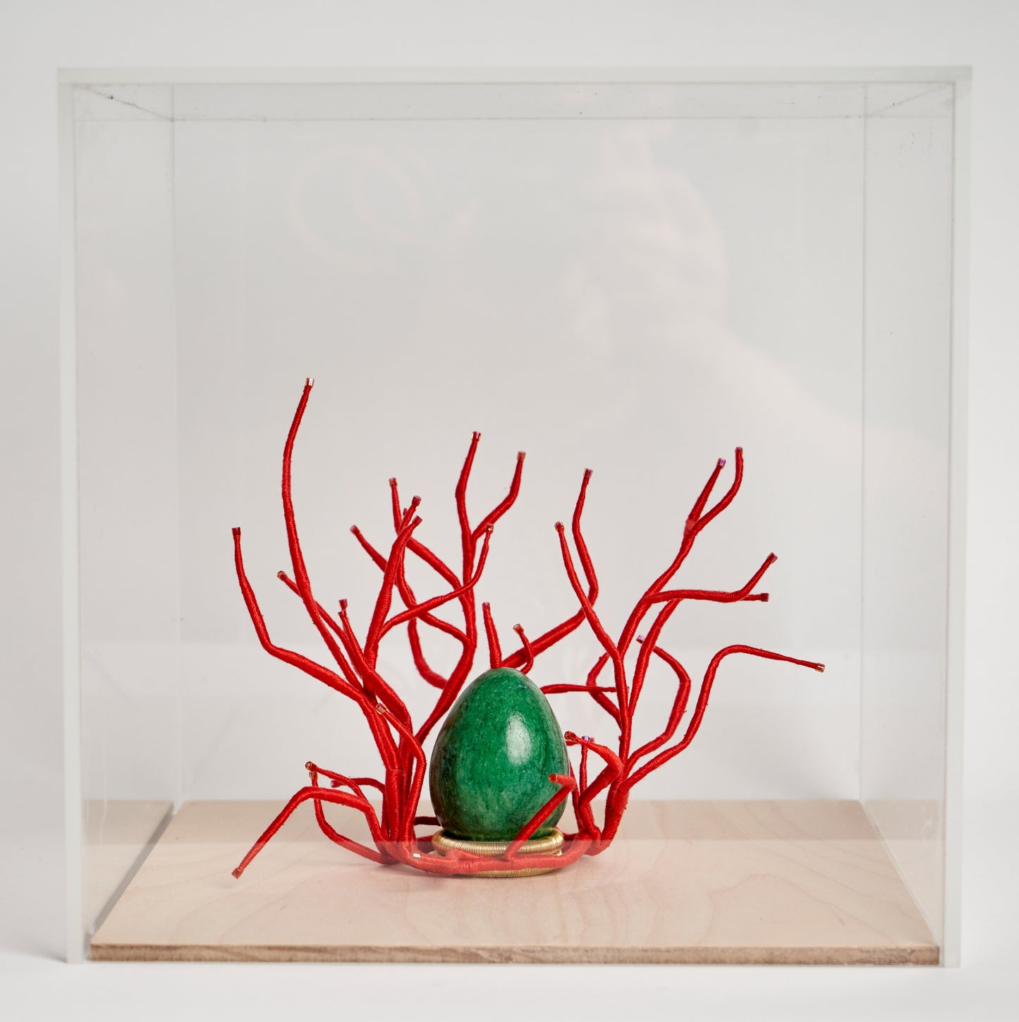 Genesis, en boîte, in display casing (option 2).