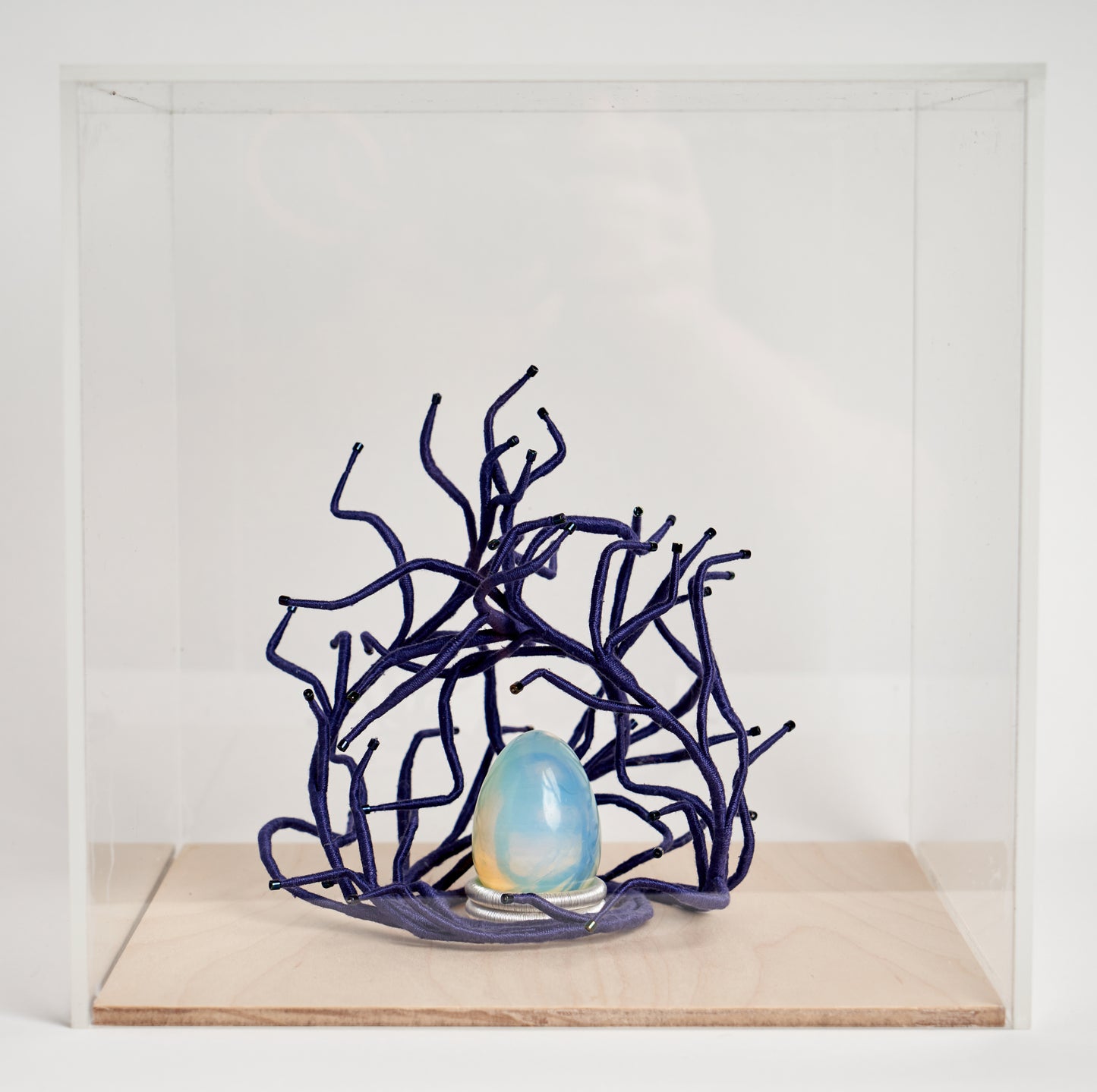 Generativity, en boîte, in display box. (option 2)