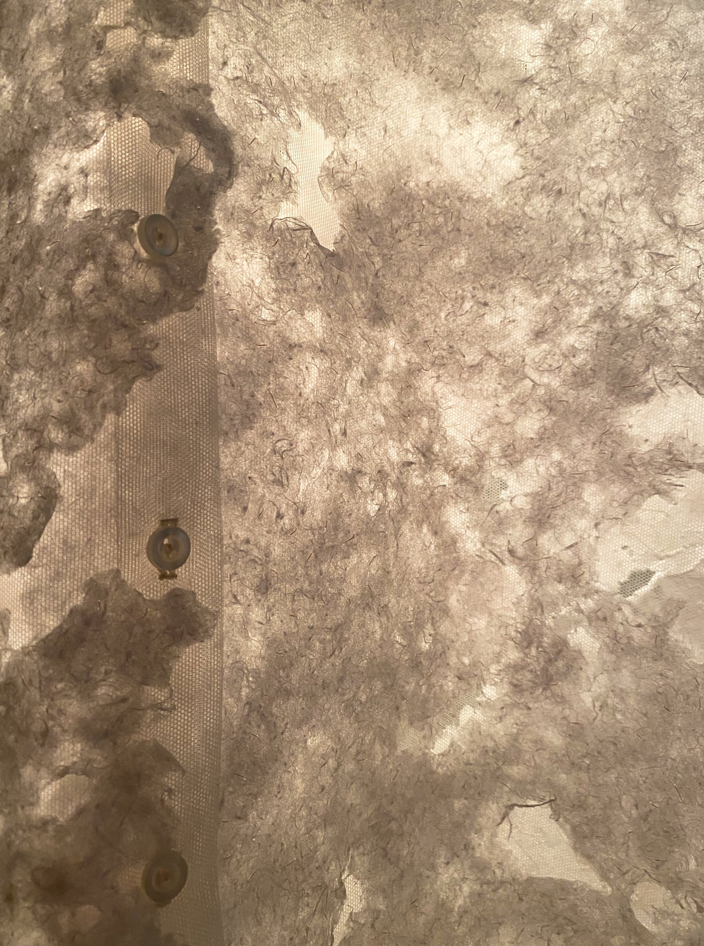 Scar Tissue par Cinthya Chalifoux