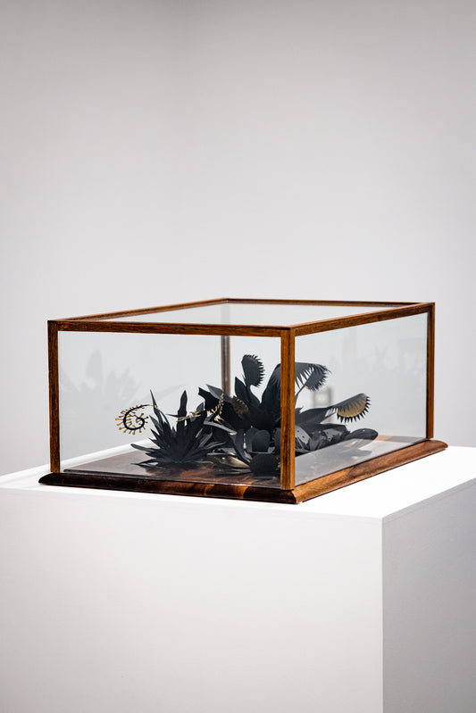 Les carnivores par Stéphanie Morissette