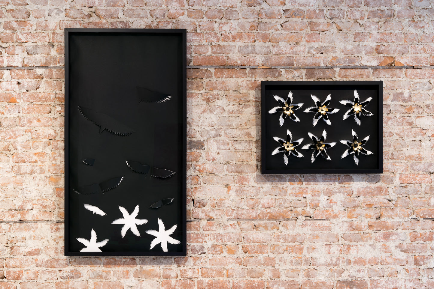 Fleurs par Stéphanie Morissette