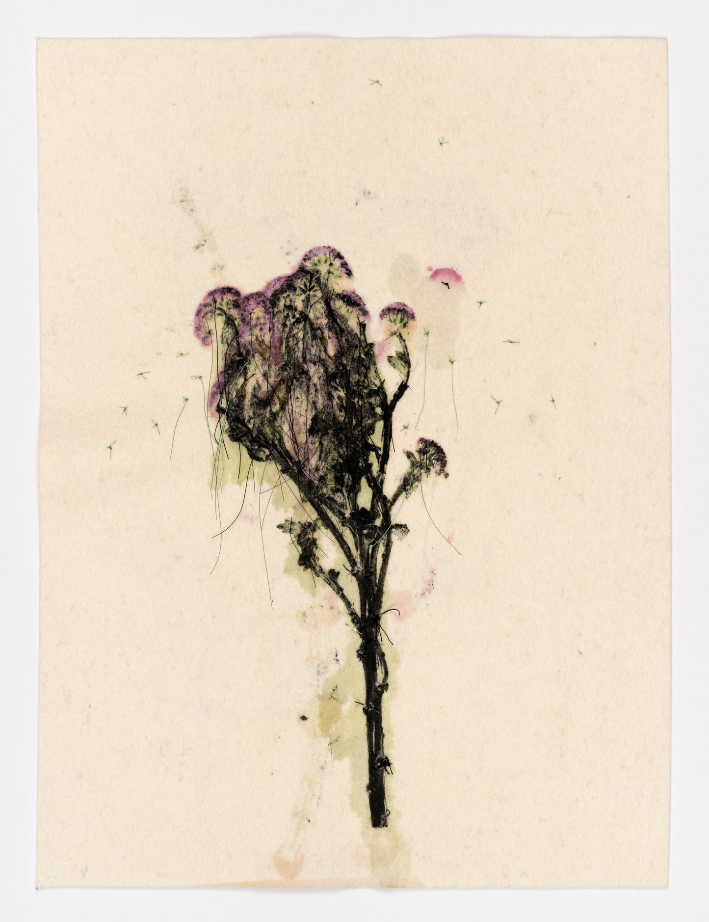 Pleurs et floraison  par Yannick De Serre