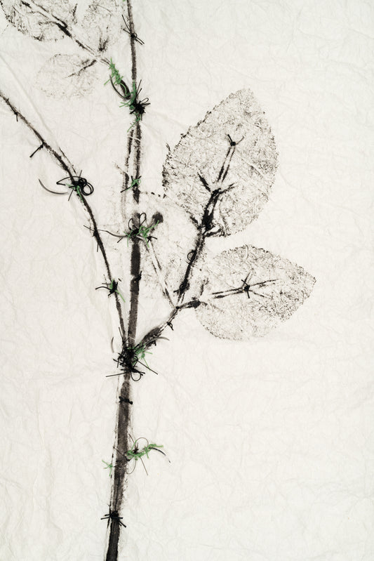 Douloureuse Présence