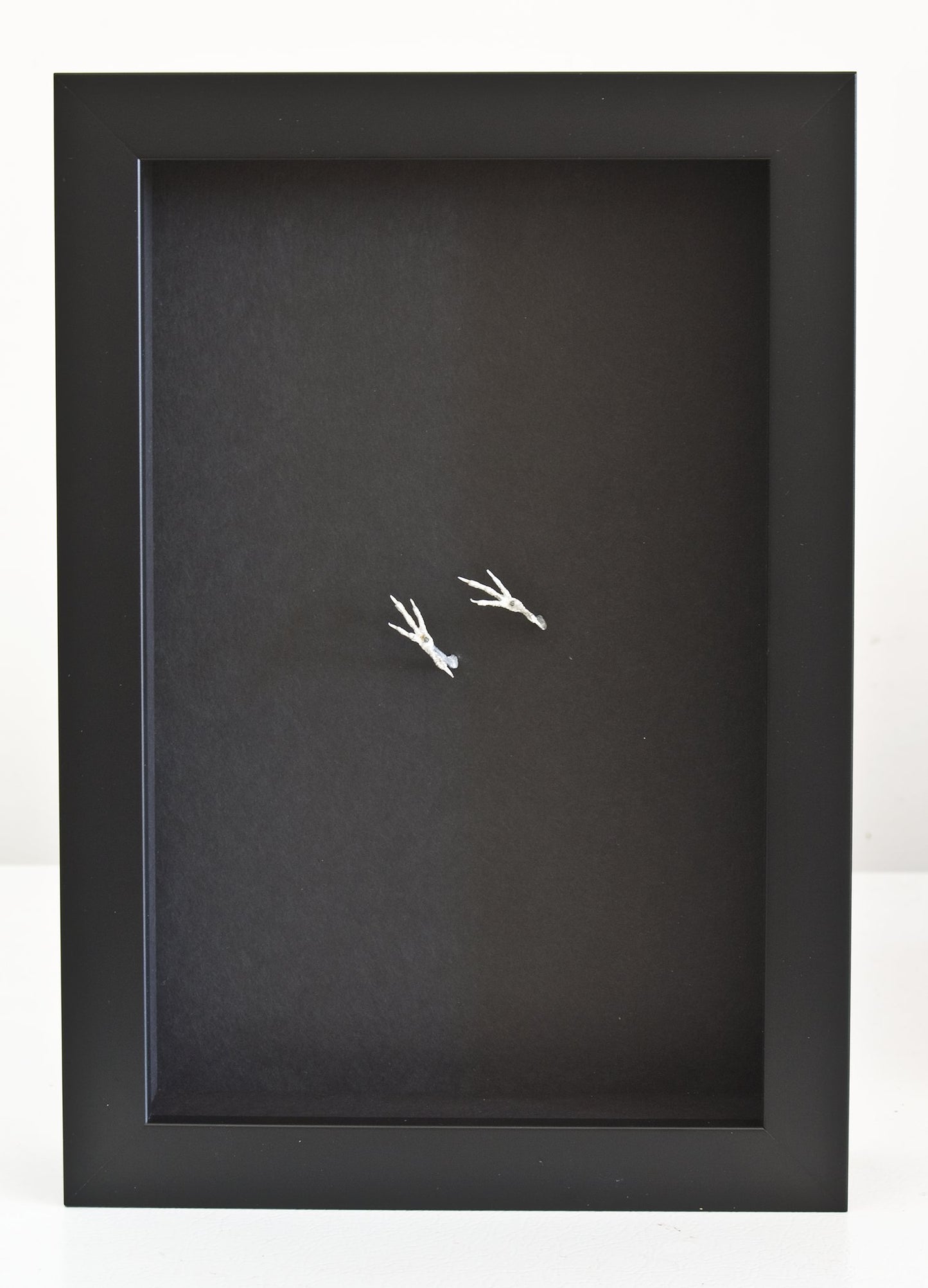 Stéphanie Morissette | B.P. Deepwater