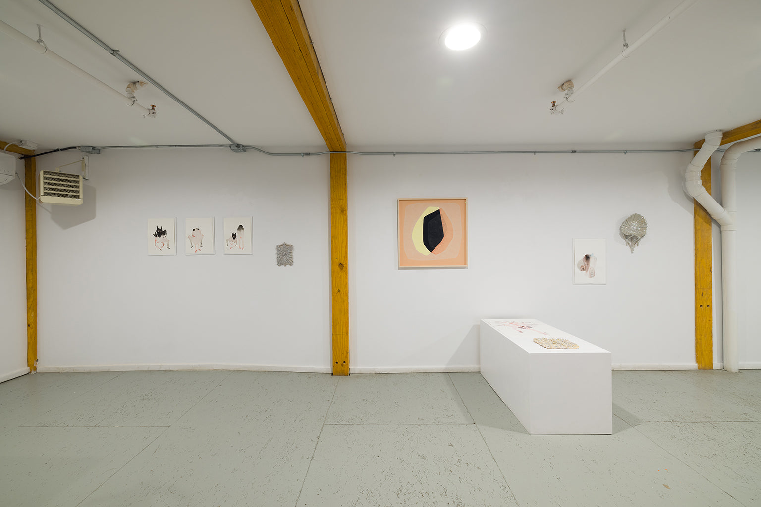 Divining Lines – Galerie JANO Gallery