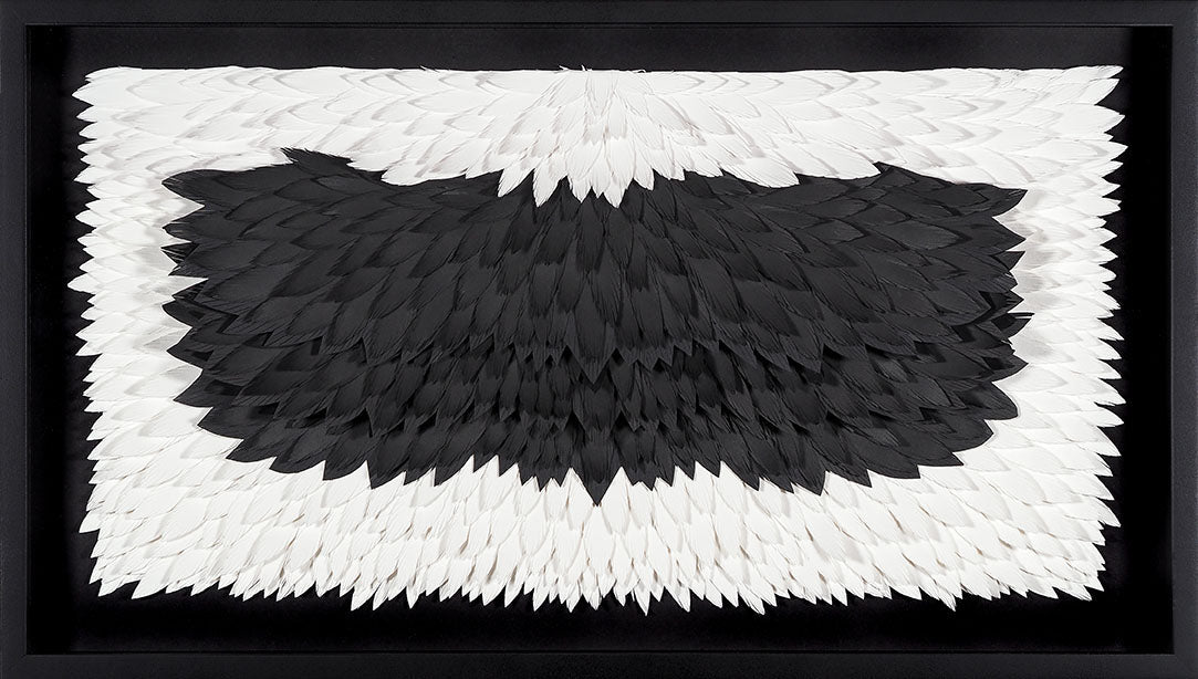 Plural 2026 | Booth 206