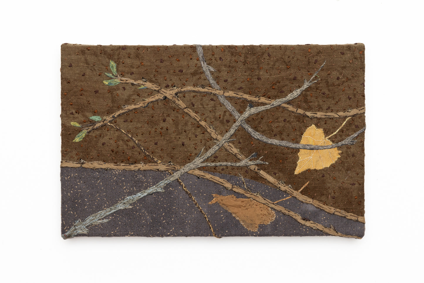 Paysage de sol 01 par Carole Baillargeon