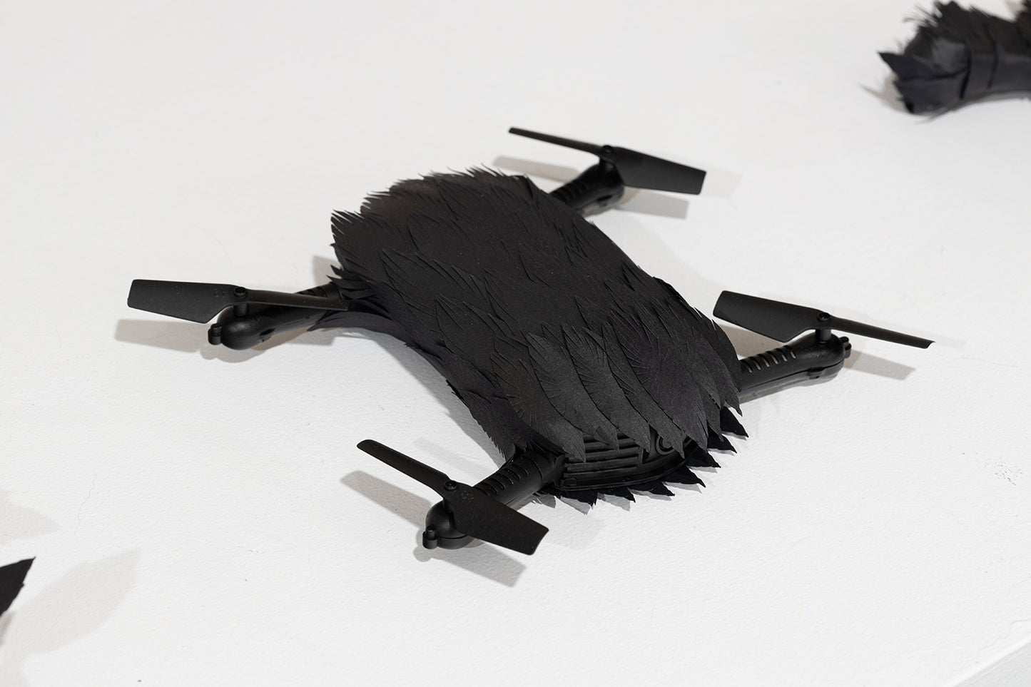 (flat oval drone body covered with paper feathers) by Stephanie Morissette