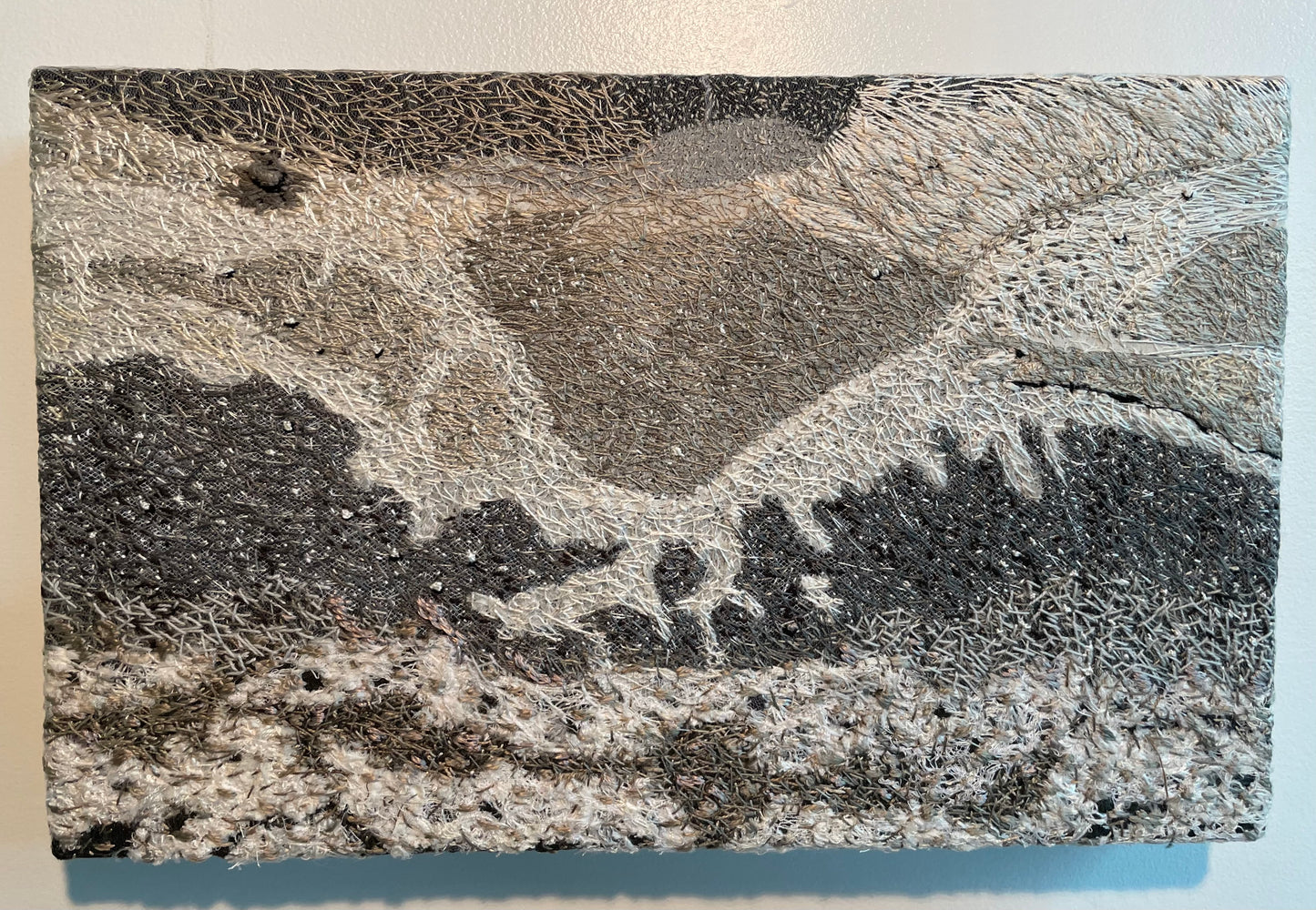 Paysage de sol 09 par Carole Baillargeon