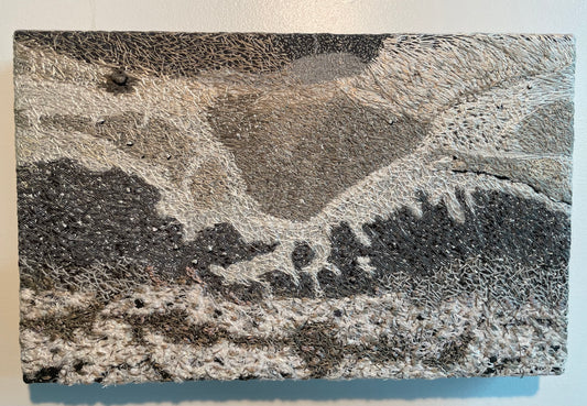 Paysage de sol 09 par Carole Baillargeon