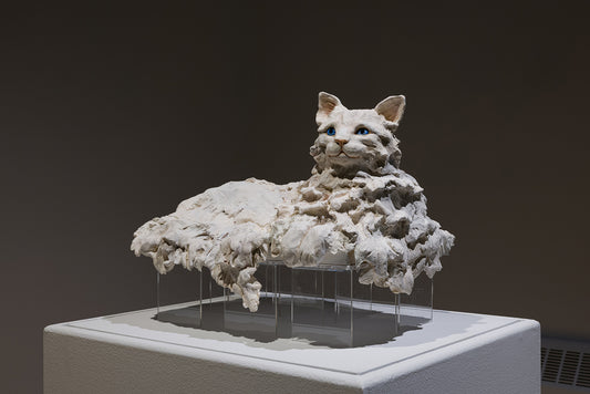 J'ai pleuré sur toi by Marilyne Bissonnette