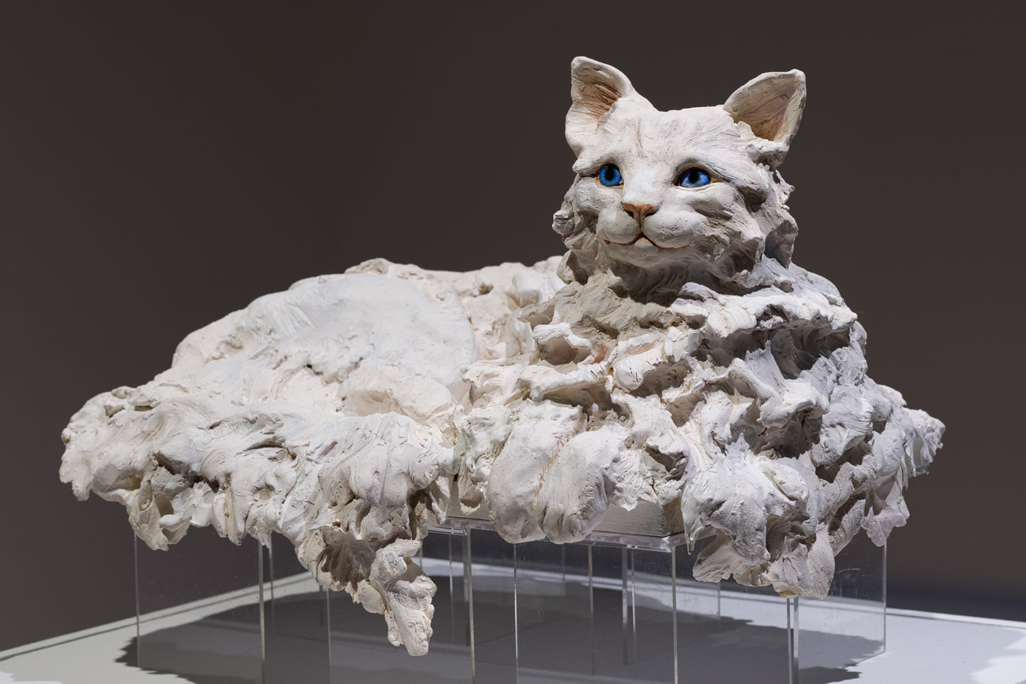 J'ai pleuré sur toi