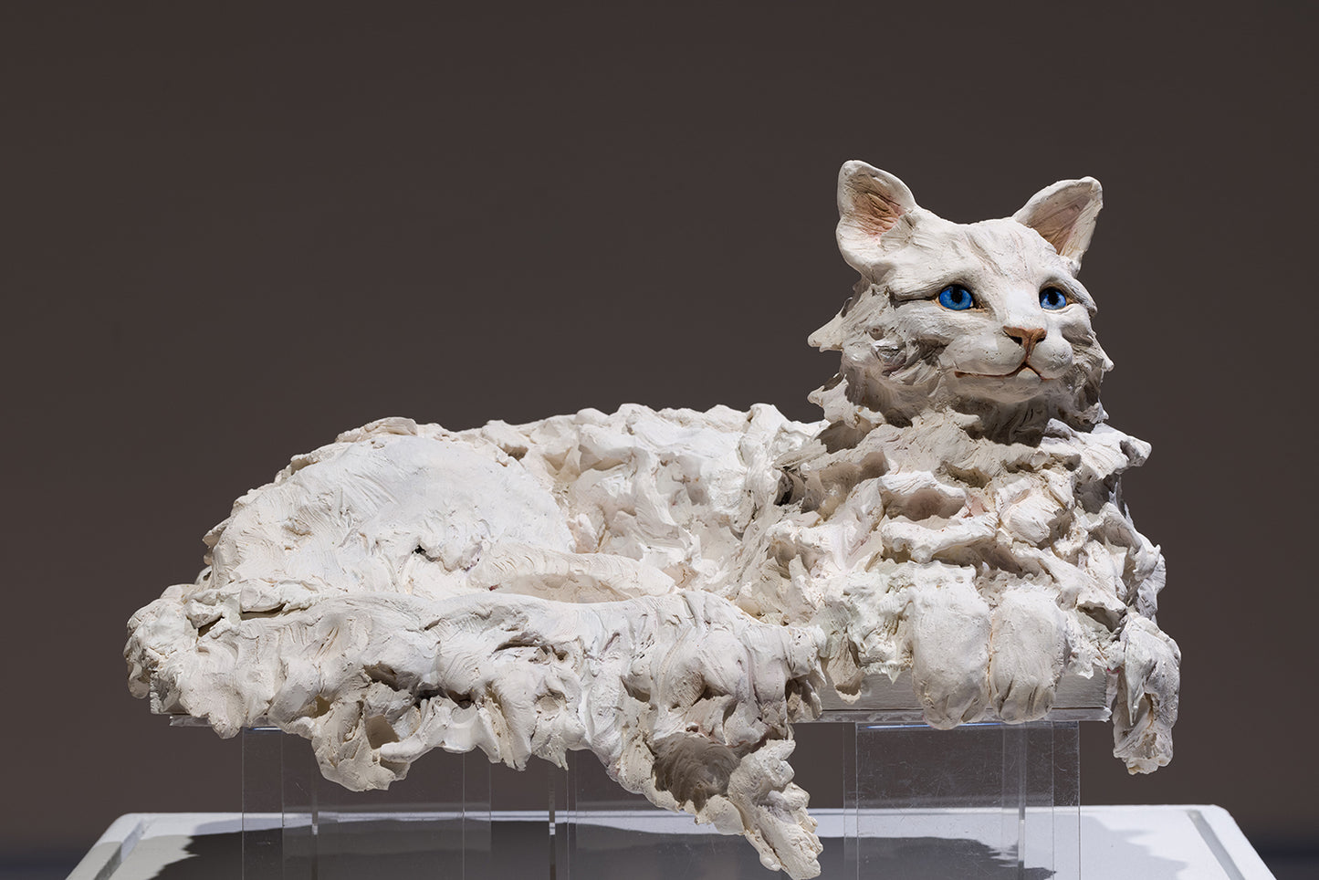 J'ai pleuré sur toi