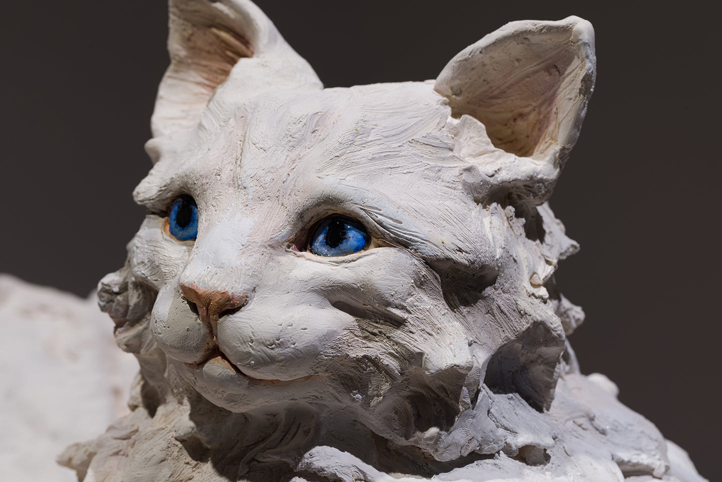 J'ai pleuré sur toi