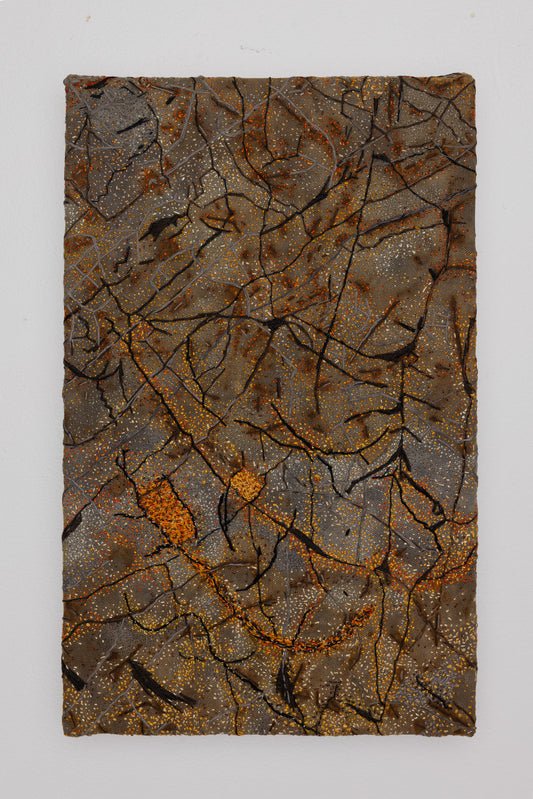 Paysage de sol 13