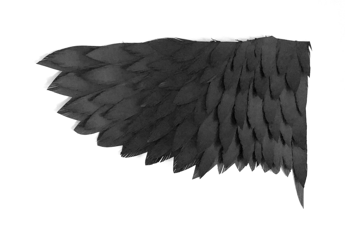 Attemps by Stéphanie Morissette