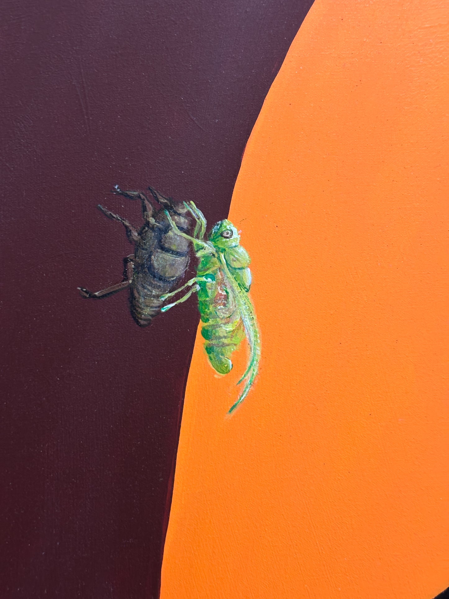 cigarra y pantalla by Riesbri