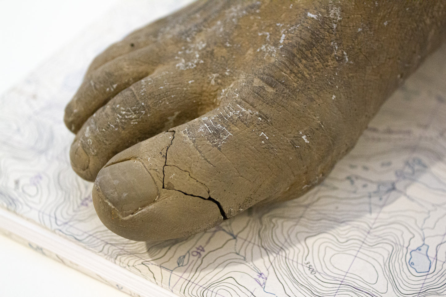 Un piège à un pied du sol