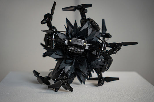 Polycephalic Bird/Drone with 6 Heads by Stephanie Morissette