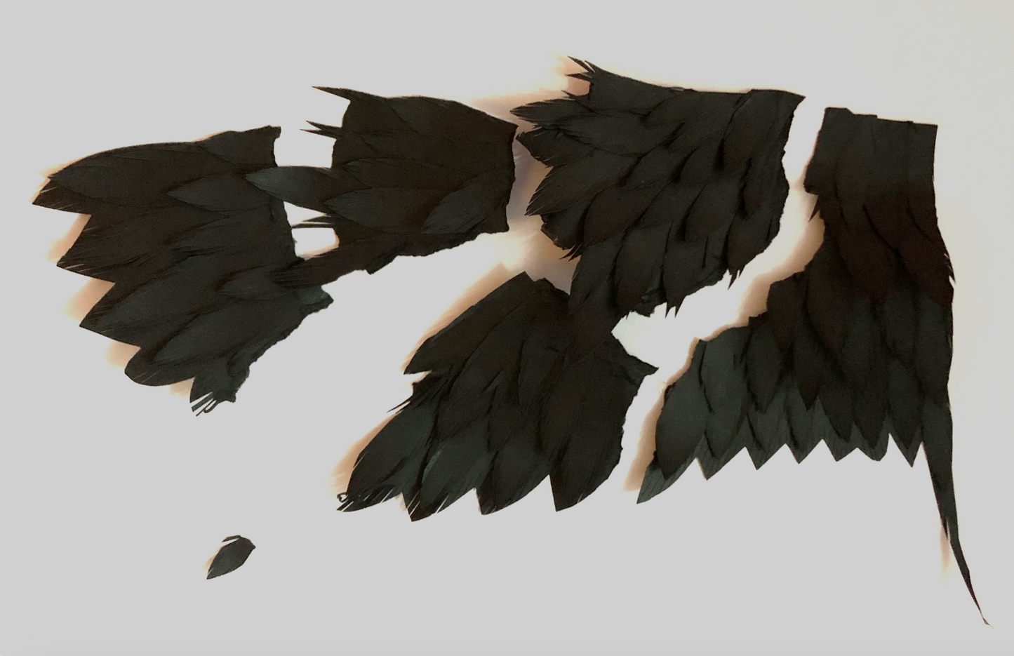 Frackling by Stéphanie Morissette